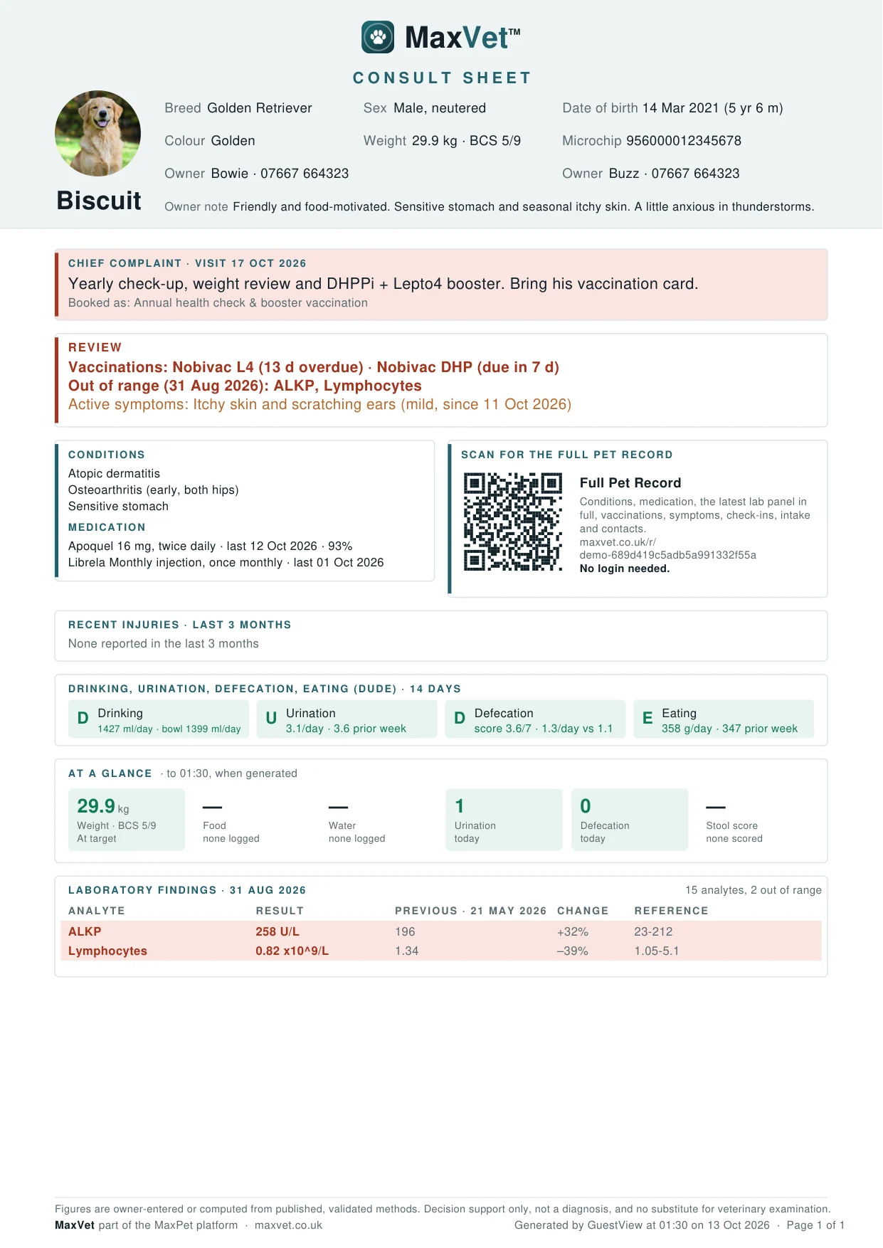 Biscuit's Consult Sheet